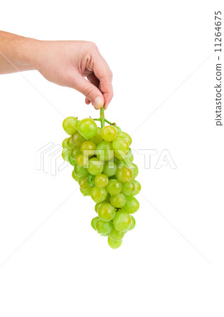 Hand holds one grapes. 11264675