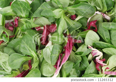 Corn salad and radicchio. 11265312