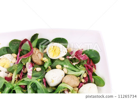 Mushroom salad with pine nuts and radicchio. 11265734