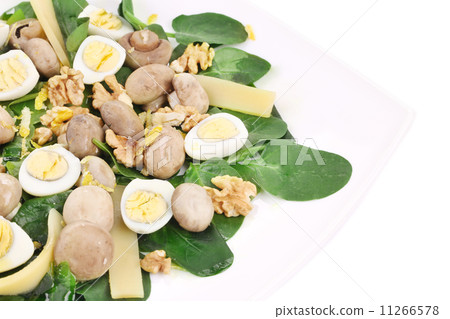 Mushroom salad with walnuts and parmesan. 11266578