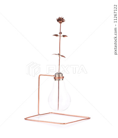 Light bulb suspended on metal wire. 11267122