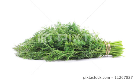 Bunch of fresh dill. 11267827