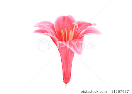 Beautiful pink artificial flower. 11267927