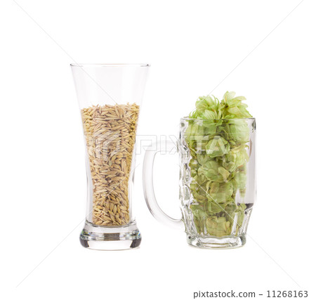 Glasses of fresh green hops and barley 11268163