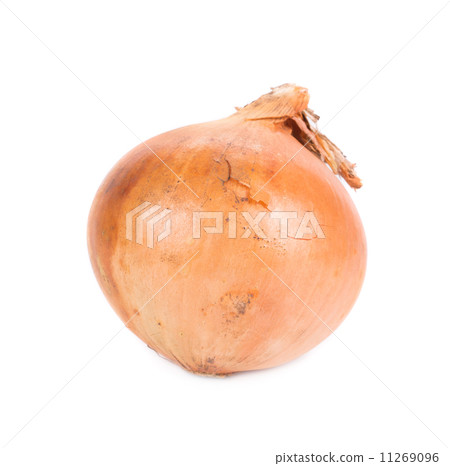 Ripe onion 11269096