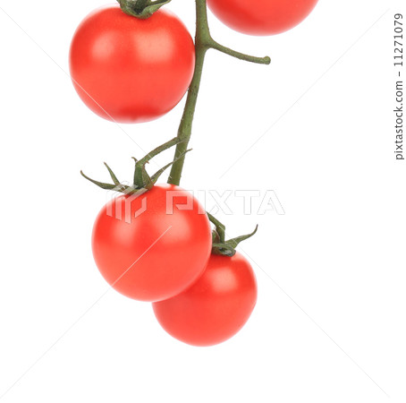 Tasty tomatoes-cherry. Tasty tomatoes-cherry. 11271079
