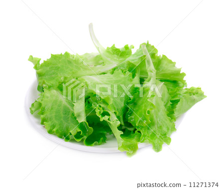 Fresh lettuce Fresh lettuce 11271374
