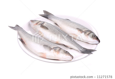 Three fresh seabass fish on plate. 11271578