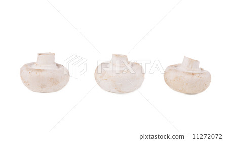White mushrooms White mushrooms 11272072