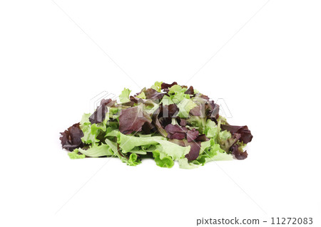 Bunch of green and red leaf of lettuce. 11272083