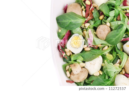 Mushroom salad with pine nuts and radicchio. 11272537