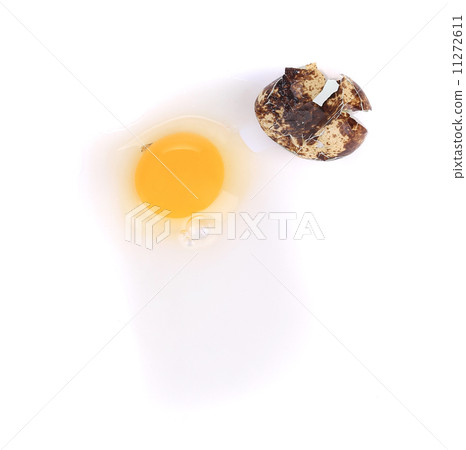 Broken quail egg. Broken quail egg. 11272611