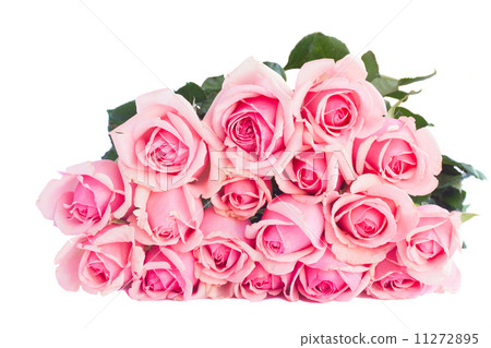 bouquet of fresh pink roses bouquet of fresh pink roses 11272895