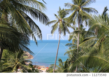 Thailand, Koh Samui (Resort in Tropical country) 11273540