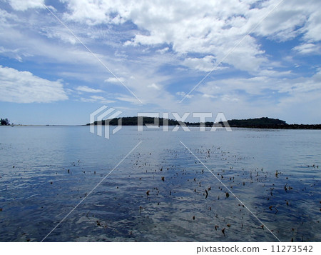 泰國，蘇梅島（熱帶國家度假村） 11273542