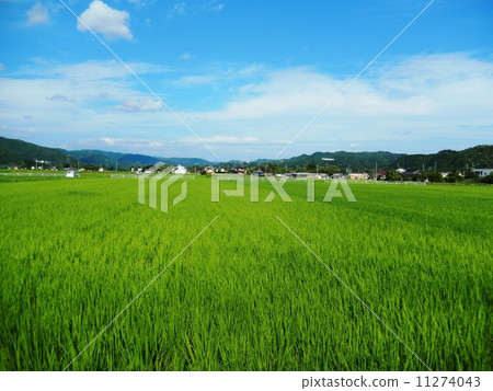 鄉村景觀讓人想起Furusato 鄉村景觀讓人想起Furusato 11274043