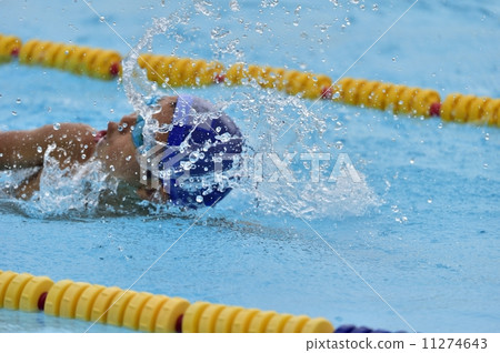 Swimming competition 11274643