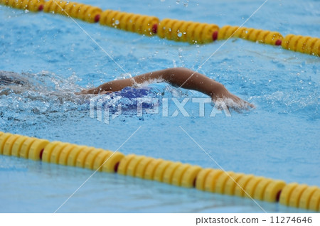 Swimming competition 11274646