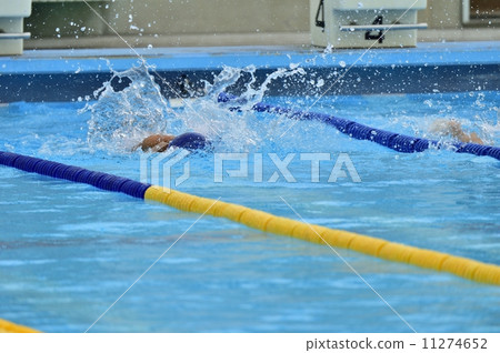 Swimming competition 11274652