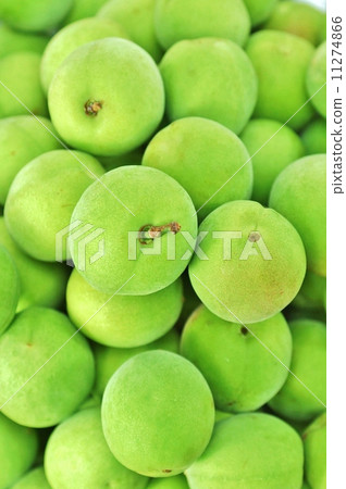 Early summer background material - Ultra-cleaned Ome · Overhead view vertical position Early summer background material - Ultra-cleaned Ome · Overhead view vertical position 11274866