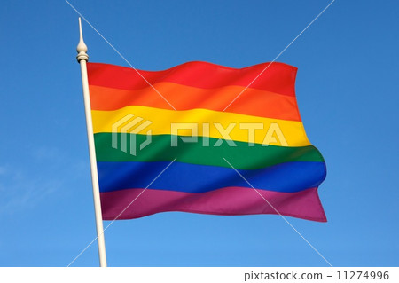 Gay Pride Flag 11274996