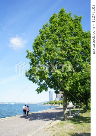 Walking by the water 11275102