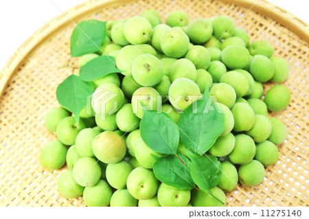 初夏的形象·未開發的李子和李子葉的竹子·鳥瞰水平位置 11275140