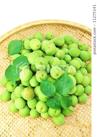 初夏的形象·不潔李子和李子葉的竹筍·鳥瞰垂直位置 11275141