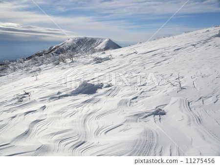 Adachi-tama Adachi-tama 11275456