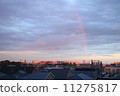 Rainbow  11275817