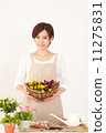 園藝 11275831