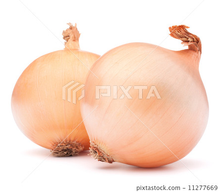 Gold onion vegetable bulbs 11277669