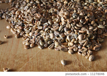 Coffee seeds Coffee seeds 11278046