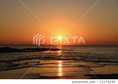 In the morning sun 11278248