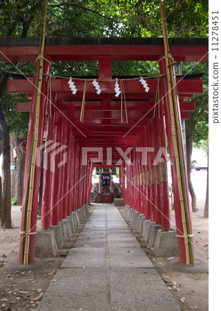 Inside the precinct of Hanazono Shrine 11278451
