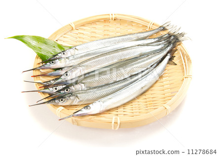 Sayori Sayori 11278684