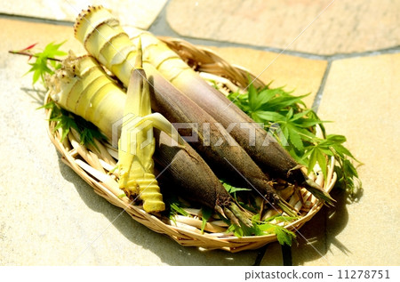 竹筍 竹筍 11278751