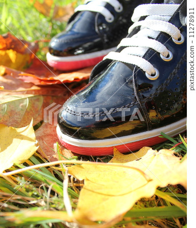 Two boots standing on fall ground Two boots standing on fall ground 11278911