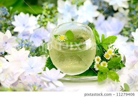  香草茶 11279406
