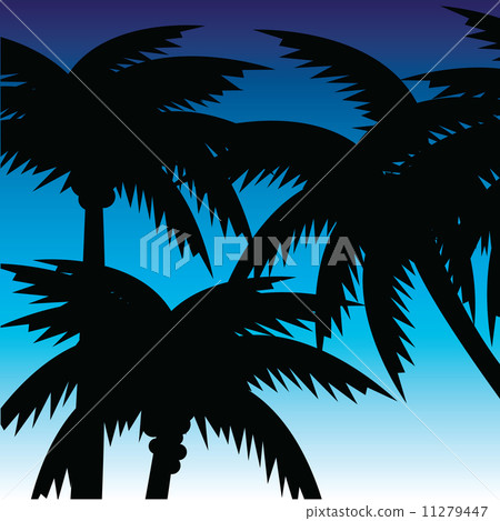 Palms 11279447