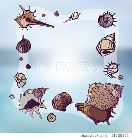 Frame of seashells. 11280201