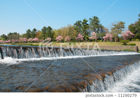 Semi-tree road and bamboo trees 11280279