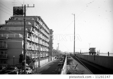 東京灣垃圾填埋場記錄·Urayasu 1990年代 11281147