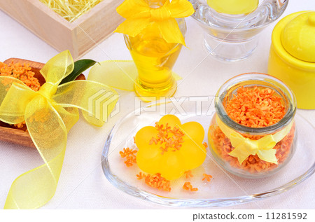 美女 美女 11281592