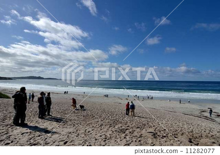 Carmel / Carmel coast ② 11282077
