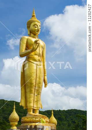 The Great standing Buddha image The Great standing Buddha image 11282427