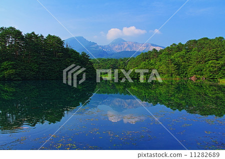 Summer's Bishamon Swamp 11282689