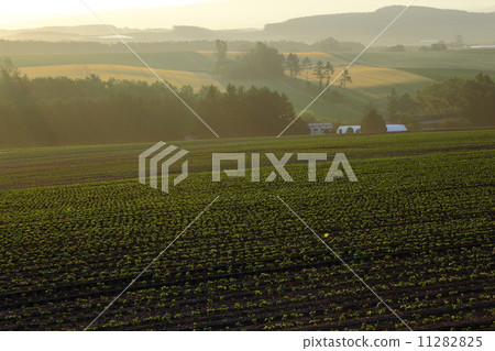 Patchwork Hill 11282825