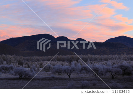 Okuhiko Odashirogagahara的晨光 11283455