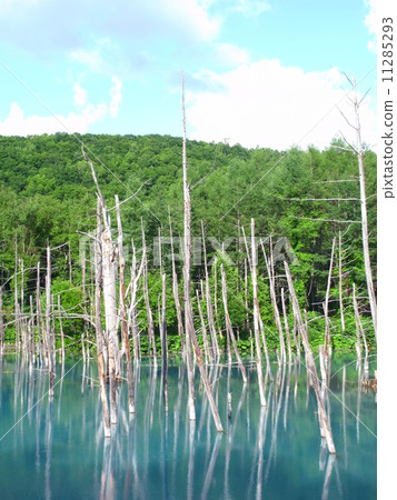 藍塘 藍塘 11285293